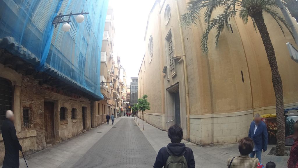 El Palmeral Y La Dama