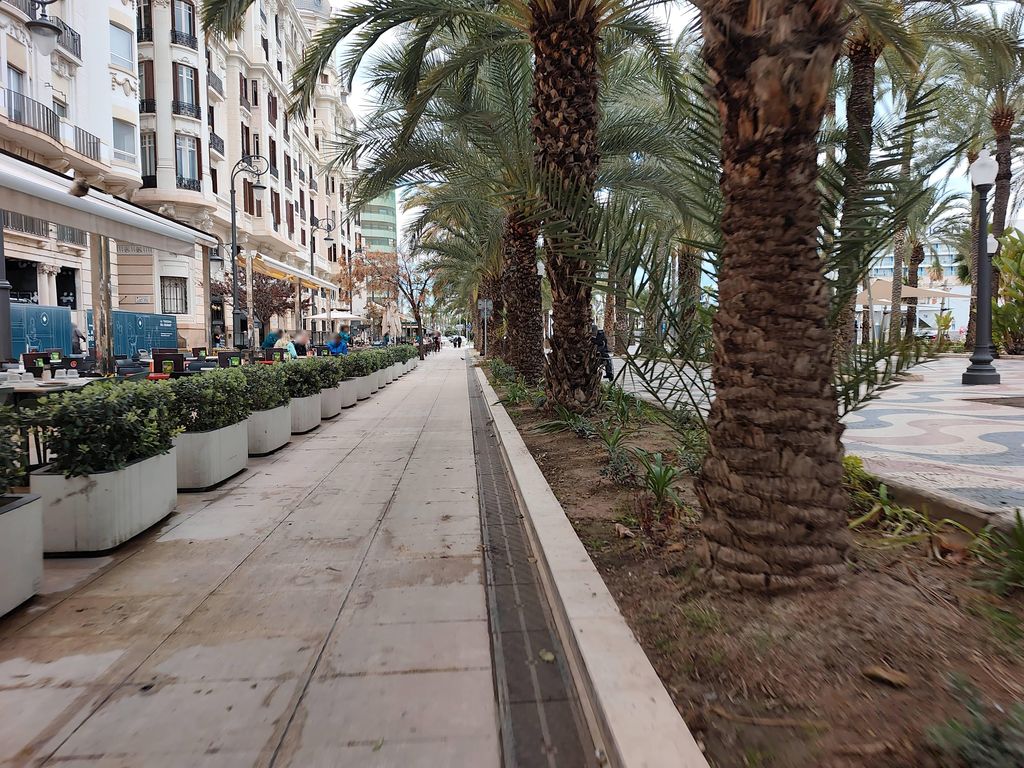 Monastrell