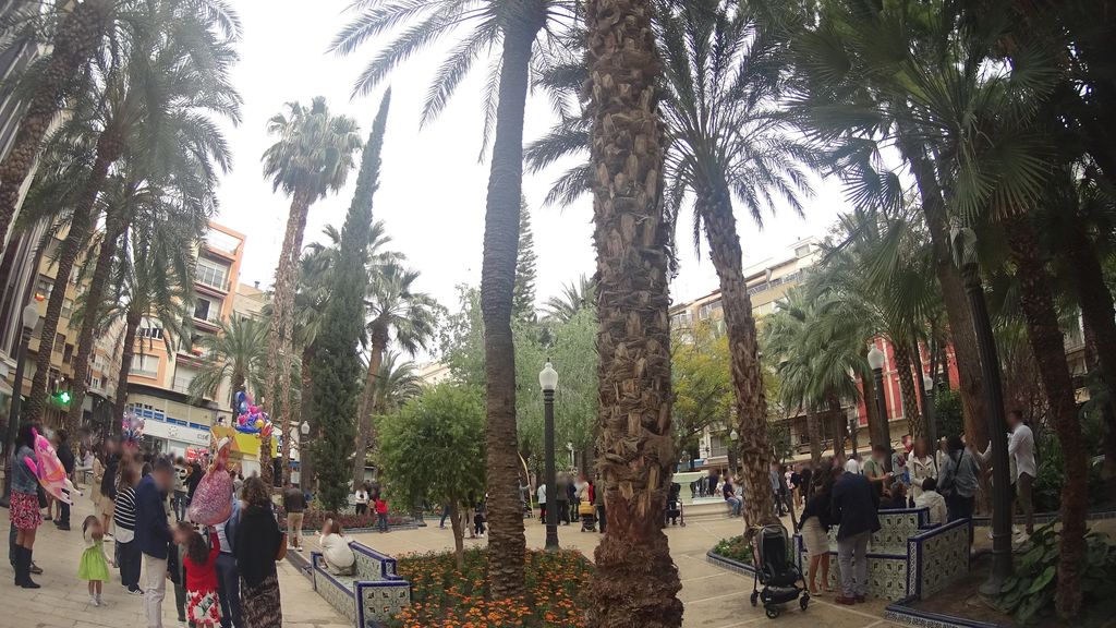 Olivereta, 4
